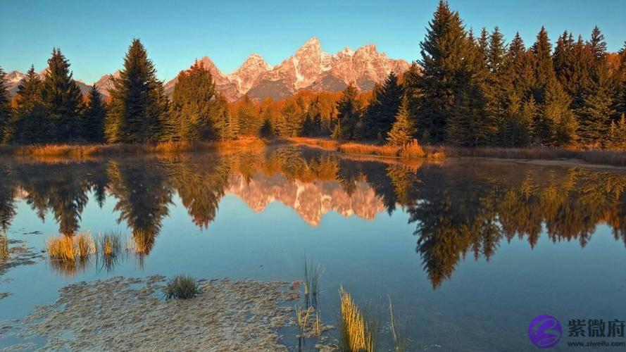 生辰生辰详细分析：如果坚持会得幸福的一对情侣生辰