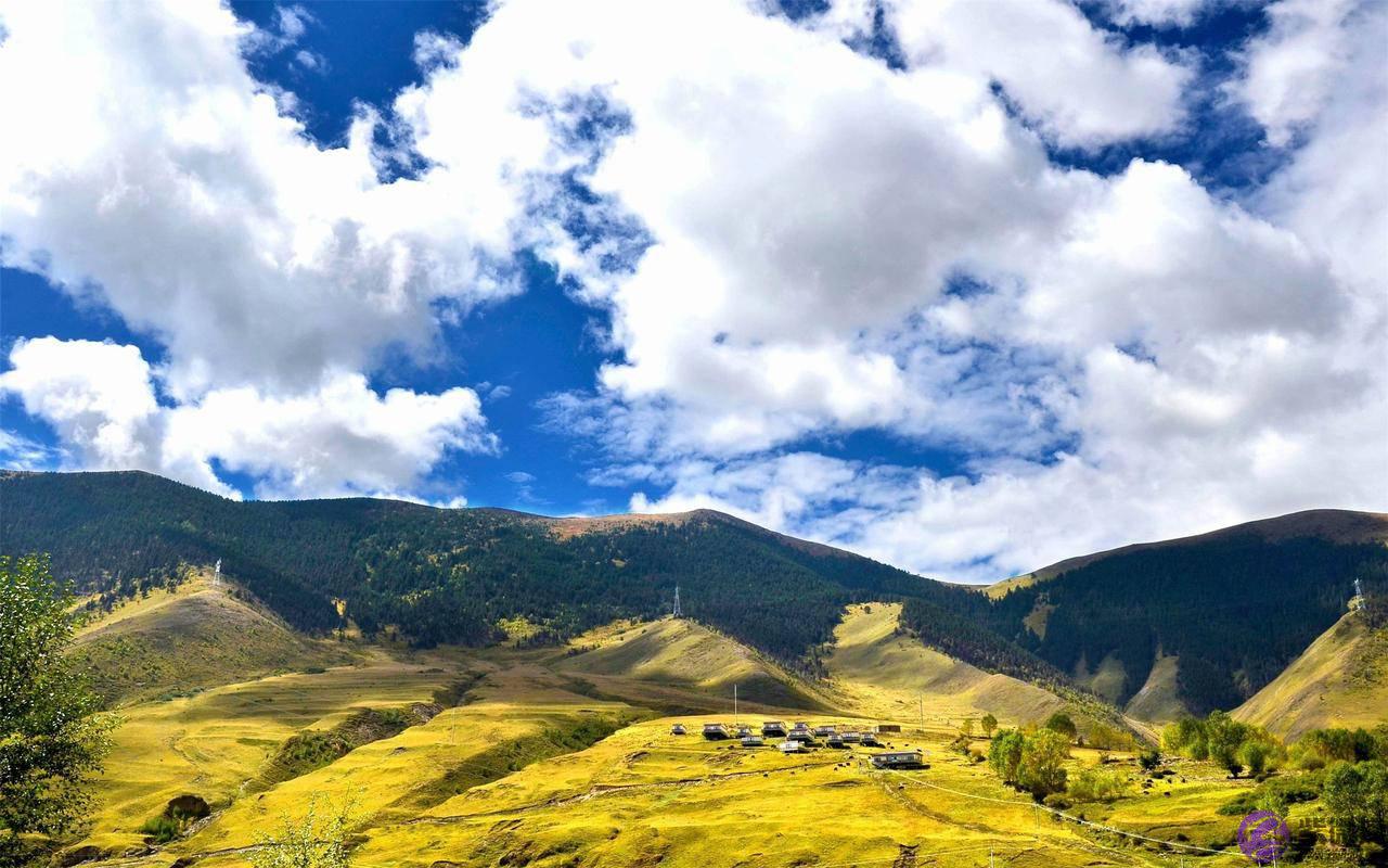 生辰生辰详细分析：对于身旺女命来说，逢食伤利财不利婚，近乎铁规