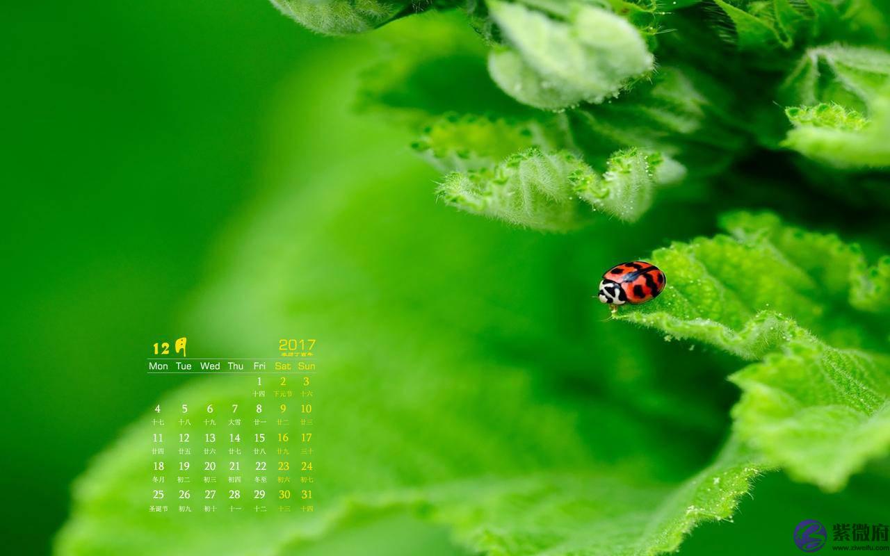 这种生辰的人将来迟早会为情所伤，日坐比劫又是忌神，婚姻不顺！