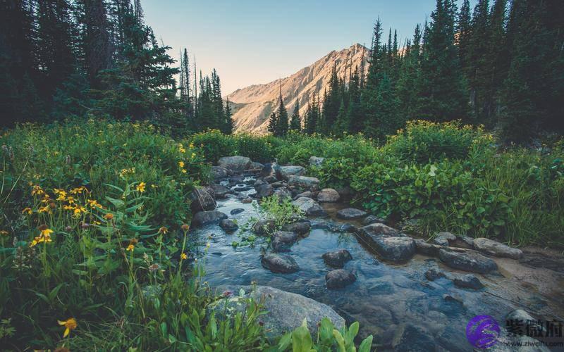 生辰生辰详细分析：发大财运需要什麽条件？一创业团队领导者的生辰