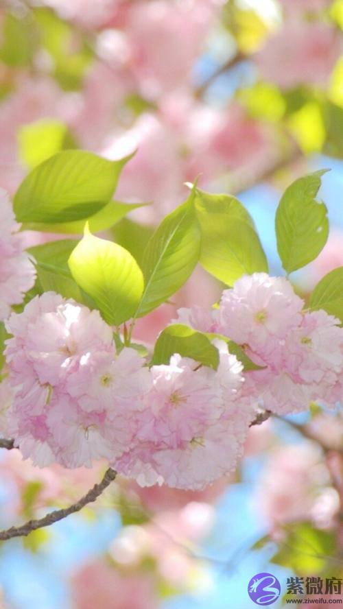 生辰生辰详细分析：发不了财的人，都有一个共同的特点，看你符合吗