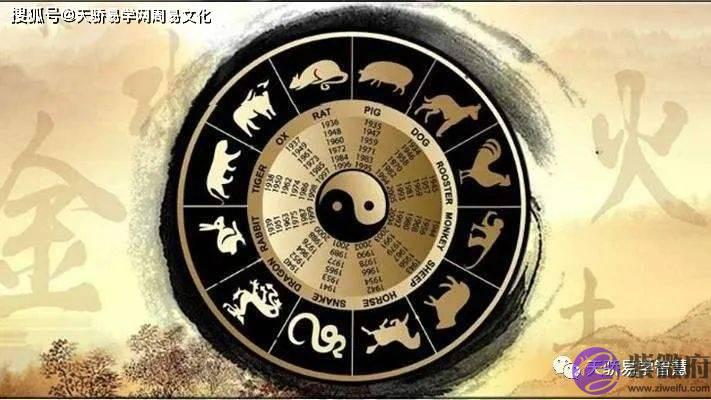 论生肖相冲与父母子女关系