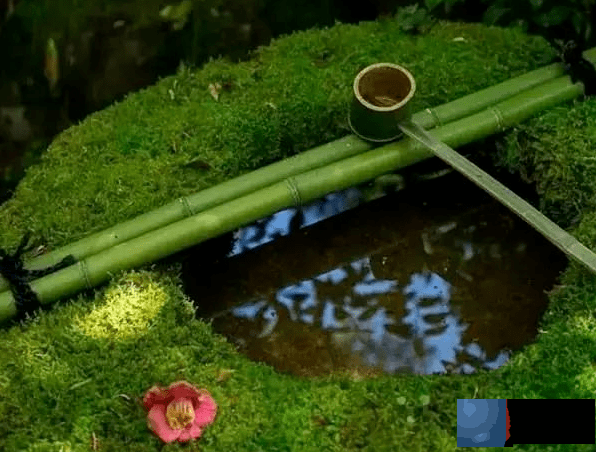 一日禅：无悔是道，无怨是德。