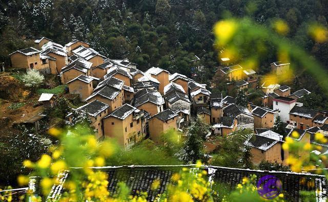 农村俗语“二月没九，饿死猪狗”是啥意思？今年二月有九吗？