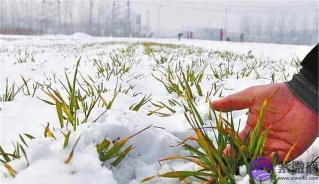 农村俗语“二月没九，饿死猪狗”是啥意思？今年二月有九吗？