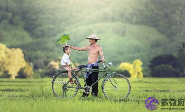 俗语“二月没九，饿死猪狗”，是啥意思？今年二月有“九”吗？