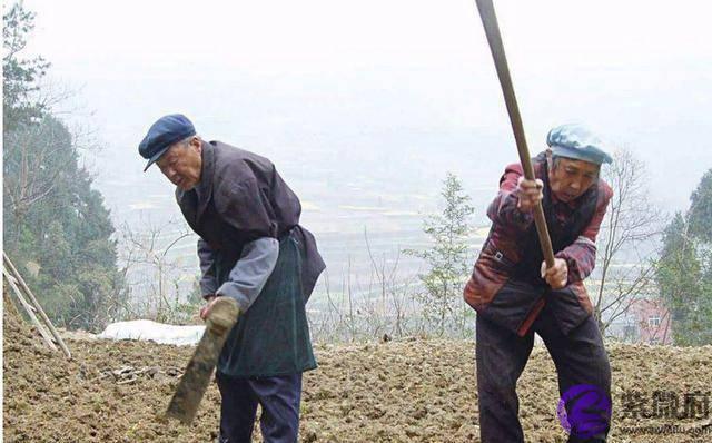 俗语“二月没九，饿死猪狗”是何意？今年二月有九吗？答案来了！