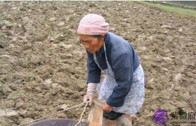 俗语“二月没九，饿死猪狗”是何意？今年二月有九吗？答案来了！