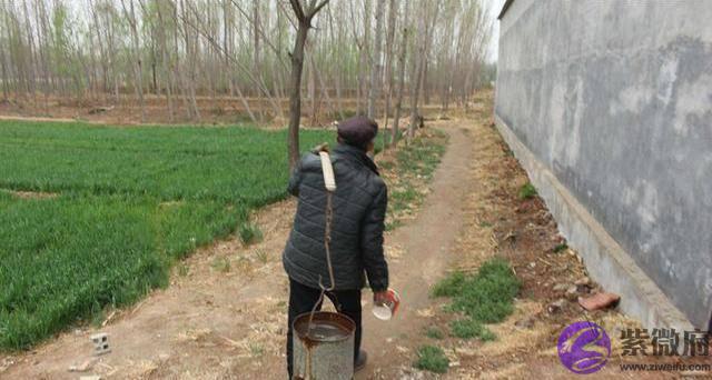 俗语“二月没九，饿死猪狗”是何意？今年二月有九吗？答案来了！