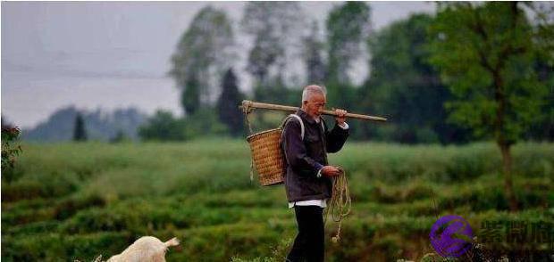 俗语“二月没九，饿死猪狗”是何意？今年二月有九吗？答案来了！