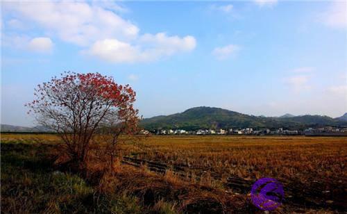 农村俗语：“冬至在月尾，大寒正二月”，2020年的元旦会冷吗？