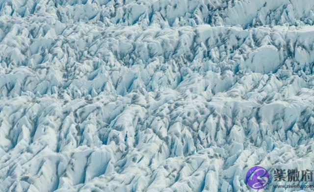 农村俗语“二月没九，饿死猪狗”有道理吗？