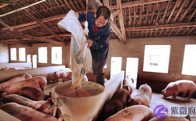 农村俗语“二月没九，饿死猪狗”有道理吗？