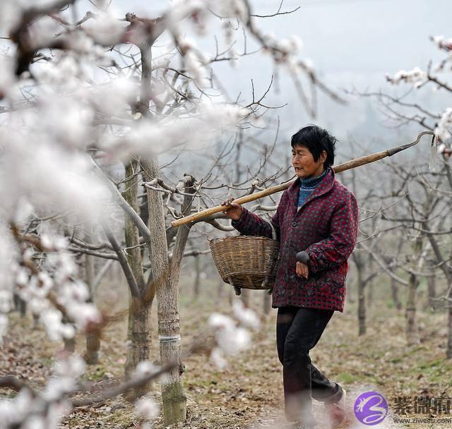 农村俗语“二月没九，饿死猪狗”有道理吗？