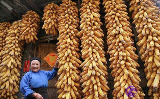 农村俗语“二月没九，饿死猪狗”有道理吗？