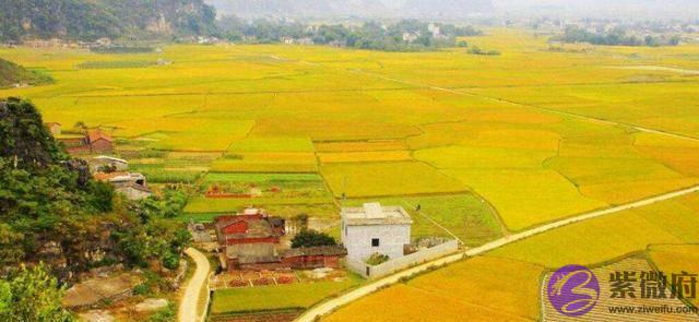 农村俗语：“二月没九，饿死猪狗”，啥意思，今年二月有九吗？