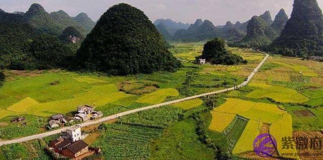 农村俗语：“二月没九，饿死猪狗”，啥意思，今年二月有九吗？