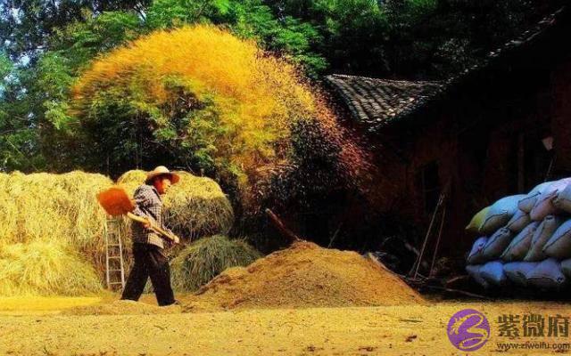 农村俗语：“二月没九，饿死猪狗”，啥意思，今年二月有九吗？