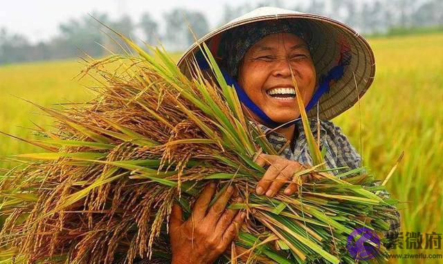 农村俗语：“二月没九，饿死猪狗”，啥意思，今年二月有九吗？