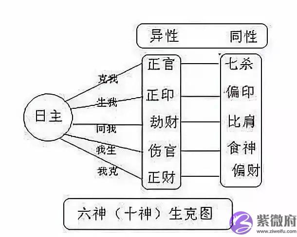 全网最简单详细的生辰十神教程