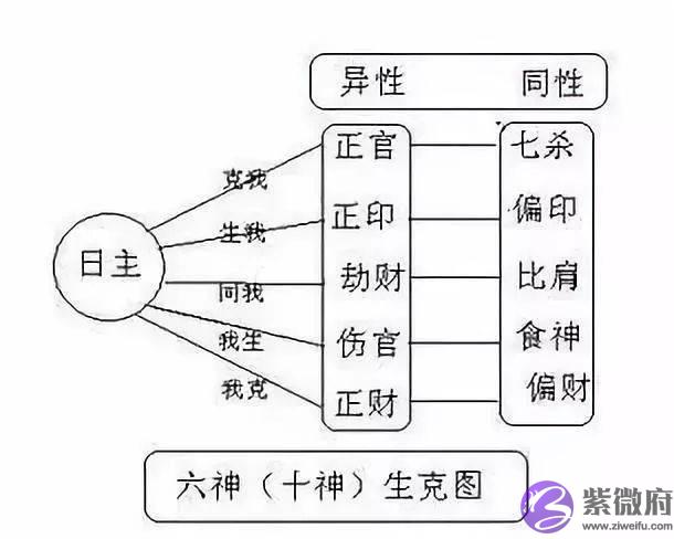 全网最简单详细的生辰十神教程