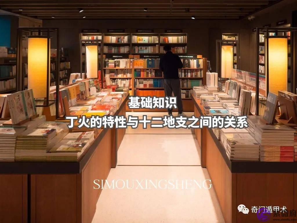 基础知识 | 丁火的特性与十二地支之间的关系