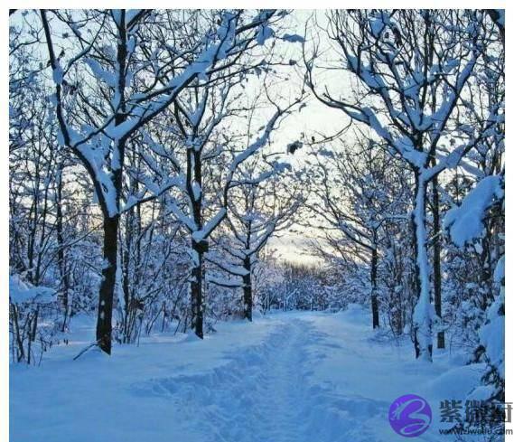 丙火五月地支寅卯辰三会木局身旺无土化泄大运庚寅辛卯破耗不断