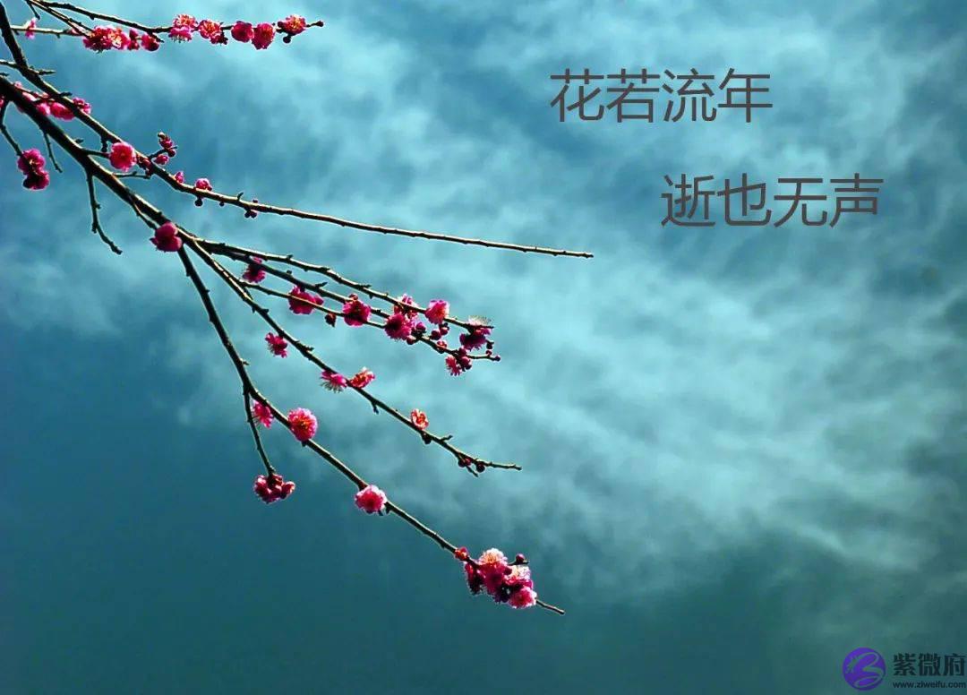 流年怎麽看：干支动静