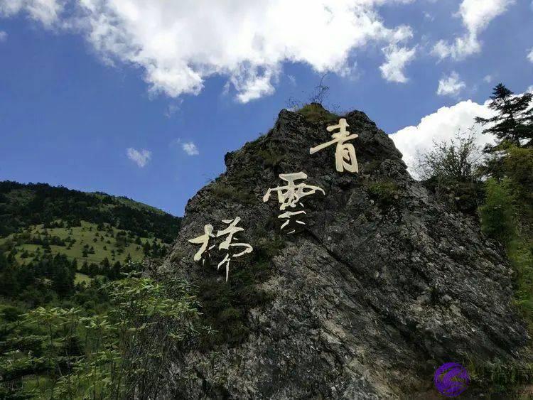 伤官格怎麽看?