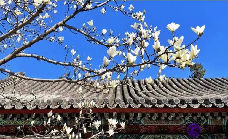 雍正是不是篡位者？为何无人辩解？直到故宫发现乾隆的生辰生辰