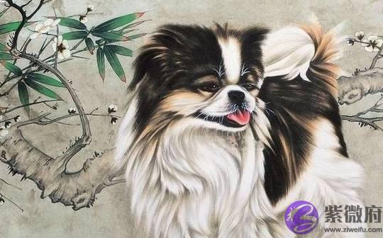 生肖狗：喜鹊临门观音赐福，日子处处有惊喜，买车买房轻而易举！