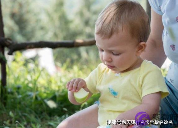 周易取名 虎宝宝取名改名大全，起名小技巧