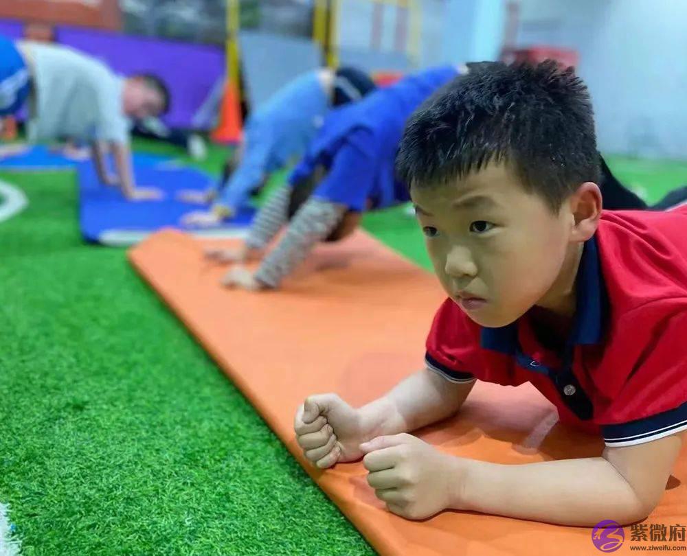 是什麽事情让岳阳500多位家长疯抢？你还在观望吗？