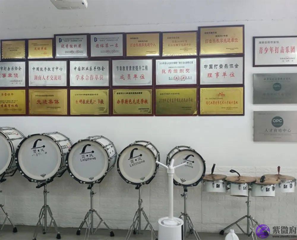 是什麽事情让岳阳500多位家长疯抢？你还在观望吗？