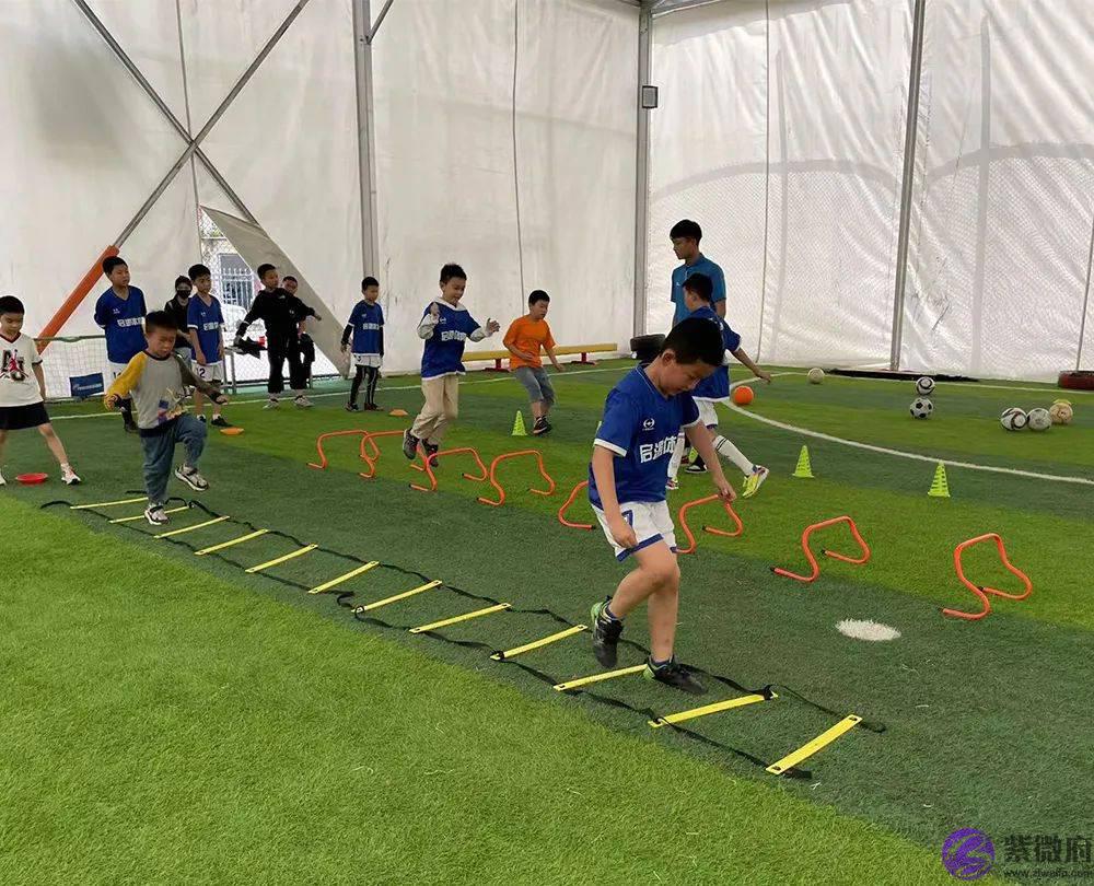 是什麽事情让岳阳500多位家长疯抢？你还在观望吗？