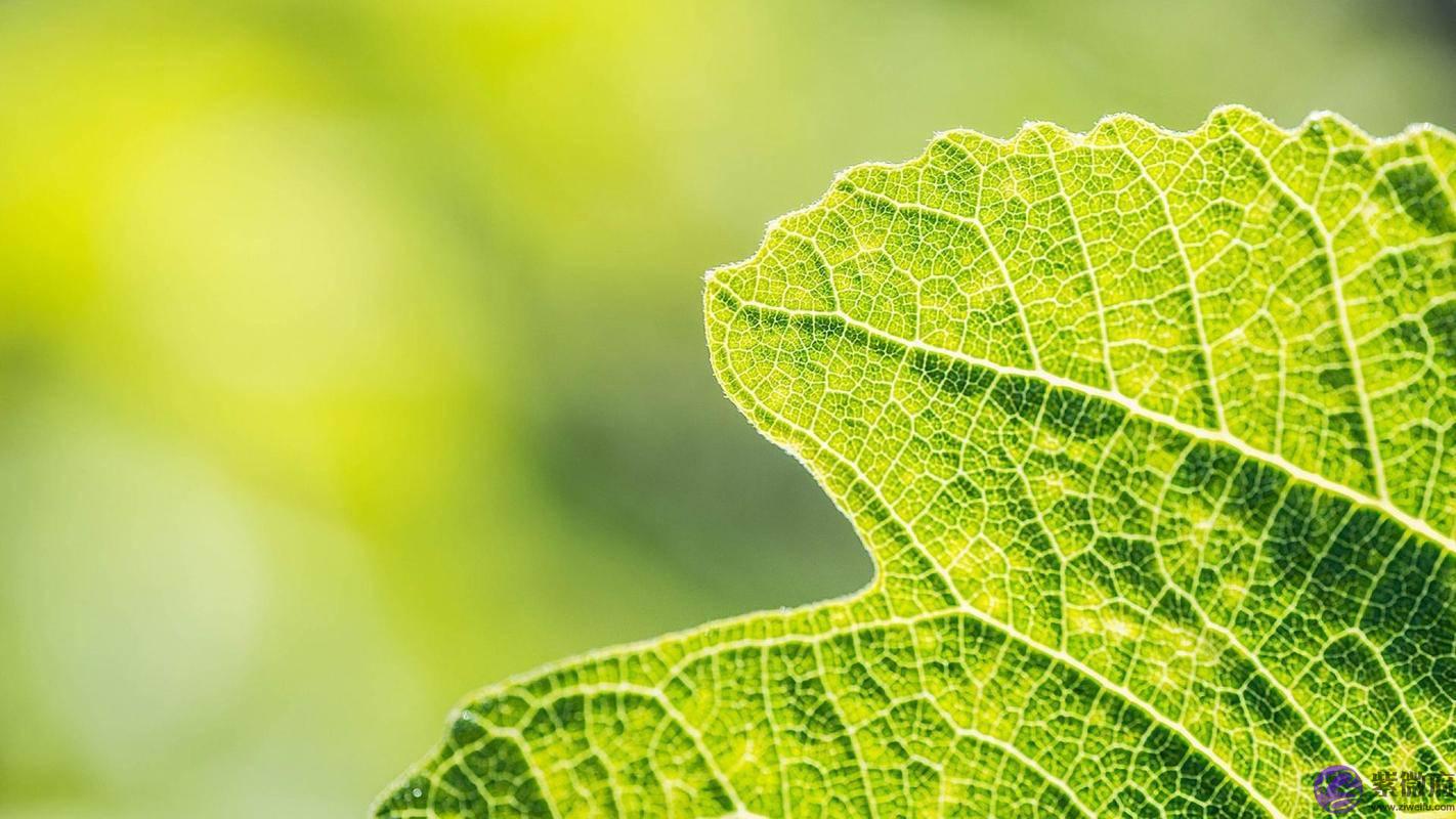 生辰生辰详细分析：没钱又没运气的男人还想出轨，会离婚吗？