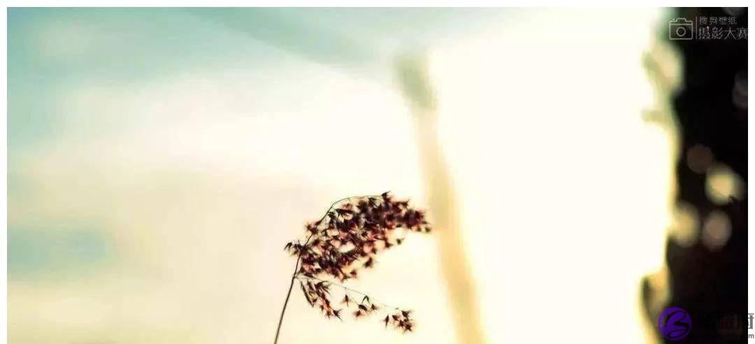 什麽生辰的人算得上“好命”？