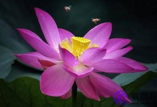 戊土命身弱，出生在，这几个时辰好