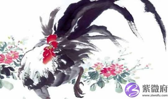 属鸡人:什麽时辰出生最好?不同时辰出生的属鸡人命运如何