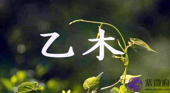 江阳君：生辰取用神之乙木四季喜忌用神详解