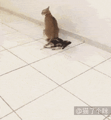 宝宝生气了，哭给你看哦
