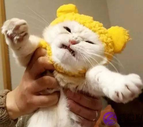 宝宝生气了，哭给你看哦