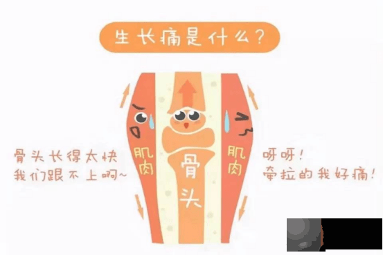 如何判断宝宝生长痛？金斯健贝来告诉你