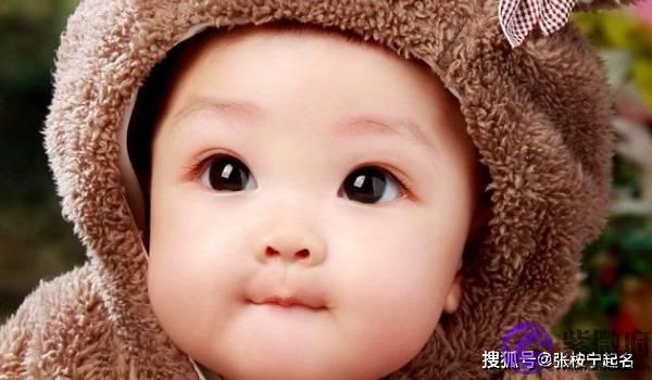 2023年兔宝宝起名宜用字 儒雅大气的婴儿学名