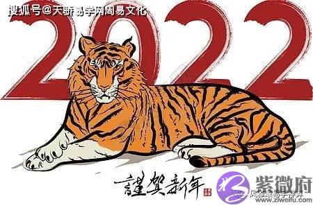虎百年难遇！2022黑虎年大灾难，黑虎诞生这一年会大乱是真的吗？