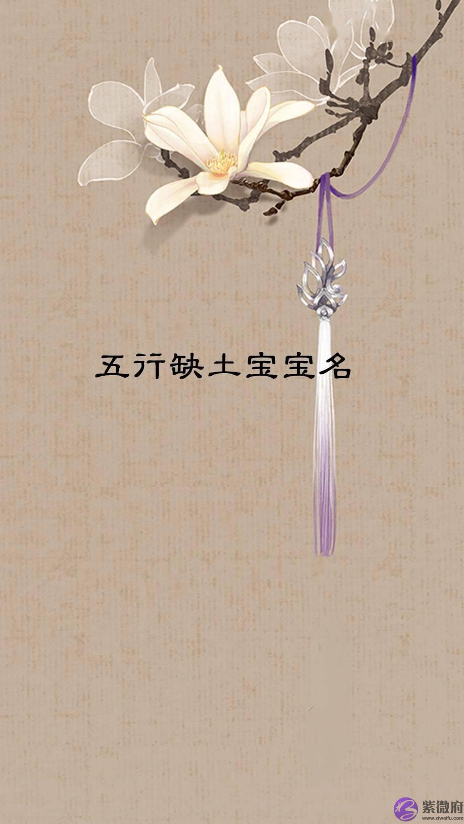 孩子起名最看重什麽？金木水火土，缺啥补啥