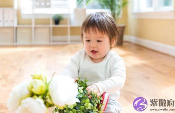 虎宝宝生辰生辰缺金怎麽起名改名：寓意美好的女孩名字集锦
