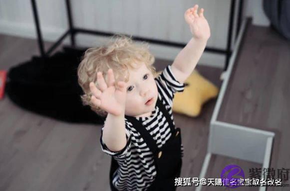 虎宝宝五行缺木怎麽取名改名，响亮霸气的男孩名字大全