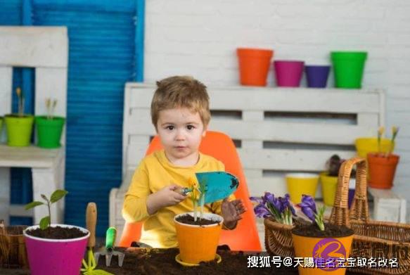 虎年五行缺木的男宝宝起名测名：霸气带解析的男孩名字