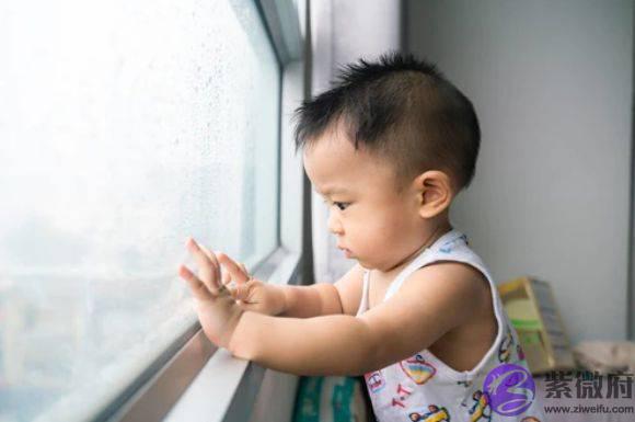 属虎的孩子五行缺木如何起名，福气冲天的宝宝名字精选